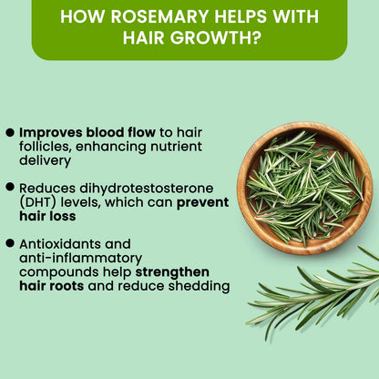 Rosemary Water, Hair Spray For Regrowth (Pack of 3)